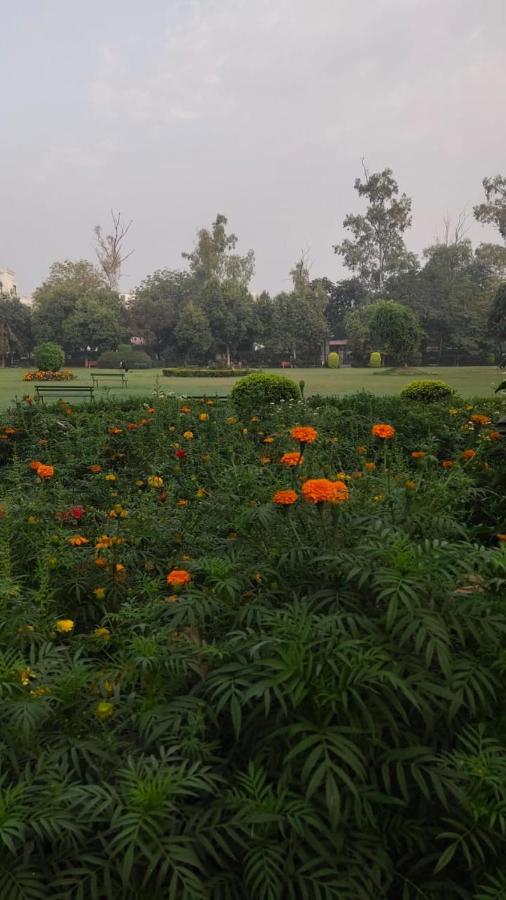 Maplewood Guest House, Neeti Bagh, New Delhiit Is A Boutiqu Guest House - Room 5 Екстериор снимка